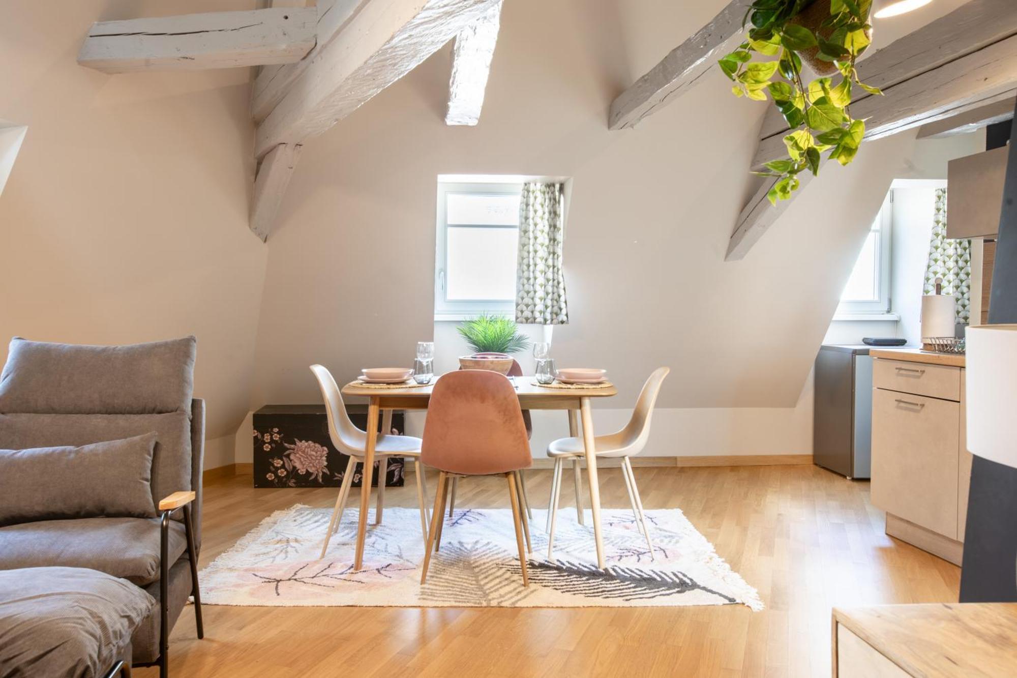 Duplex Atypique Au Coeur De Mulhouse Apartman Kültér fotó